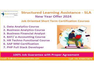 Placement in Access, SQL Training Course, Delhi, Noida, Ghaziabad, 100% Job[2024] - SLA Analytics and Data Science Institute,