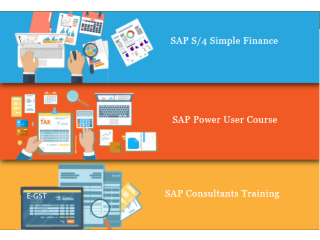 SAP Finance Course in Delhi, SLA GST Institute, GST, SAP Finance Certification in Gurgaon,100% Job