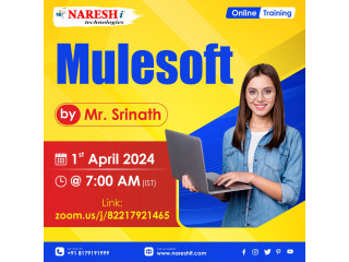 Best Mulesoft Course Online Training Institute In Hyderabad 2024 | NareshIT