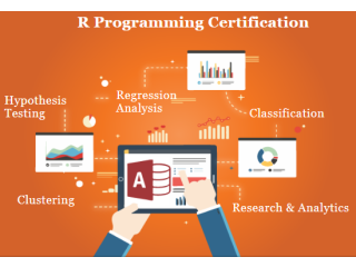 R Program Training Course in Delhi, 100% Placement[2024] - Python Course in Noida, SLA Analytics