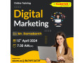 best-digital-marketing-course-online-training-institute-in-hyderabad-nareshit-small-0