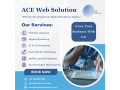 best-digital-marketing-agency-in-bangalore-ace-web-solution-small-0