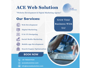Best Digital Marketing Agency In Bangalore - Ace Web Solution
