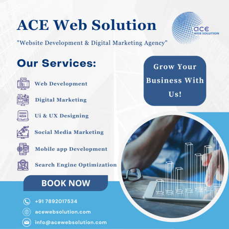 best-digital-marketing-agency-in-bangalore-ace-web-solution-big-0
