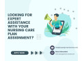 looking-for-expert-assistance-with-your-nursing-care-plan-assignment-small-0