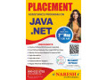 no1-placement-assistance-program-on-java-and-net-by-naresh-it-small-0