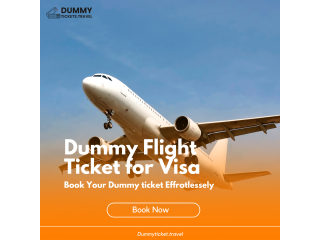 Dummy Flight Ticket for Visa