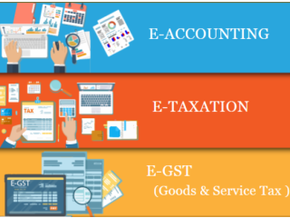 Accounting Course in Delhi 110017, after 12th and Graduation by SLA. GST and Accounting, Taxation and ERP Tally Prime Institute in Delhi, Noida