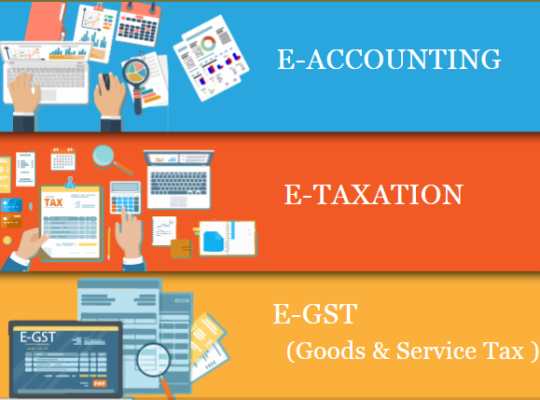 accounting-course-in-delhi-110017-after-12th-and-graduation-by-sla-gst-and-accounting-taxation-and-erp-tally-prime-institute-in-delhi-noida-big-0