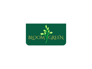 Bloom Green  Plant based Natural Air Fresheners for a Healthy Home