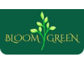 bloom-green-plant-based-natural-air-fresheners-for-a-healthy-home-small-0