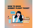 how-to-book-dummy-flight-ticket-for-free-small-0